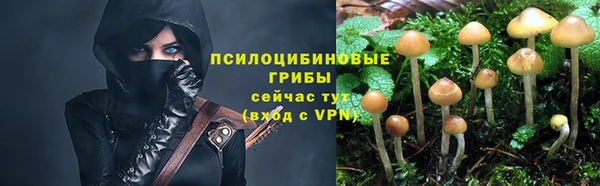 метадон Зеленокумск