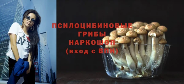 ГАЛЛЮЦИНОГЕННЫЕ ГРИБЫ Заводоуковск