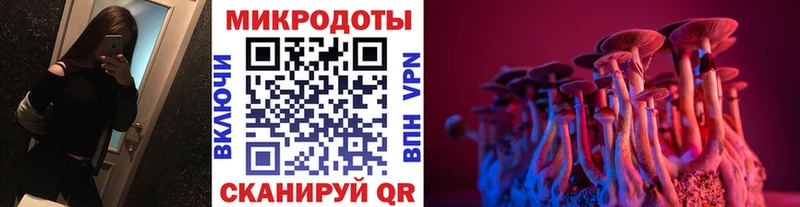 Купить закладки  Валуйки  Псилоцибиновые грибы Psilocybe 